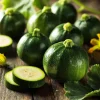Round Zucchini Seeds - Heirloom Summer Squash for Gardens - 25 Seeds - Image 1