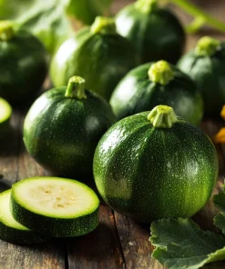 Round Zucchini Seeds - Heirloom Summer Squash for Gardens - 25 Seeds - Image 1