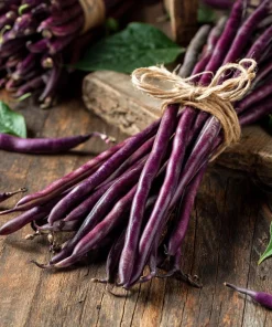 Royal Burgundy Bush Bean Seeds – Heirloom Purple Pods, 50 Seeds, Organic - Image 4