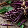 Royal Burgundy Bush Bean Seeds – Heirloom Purple Pods, 50 Seeds, Organic - Image 1