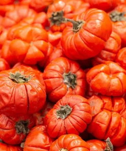 Ruffled Red Eggplant Seeds – 25 Ornamental & Edible Pumpkin on a Stick Seeds - Image 6