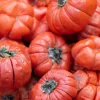 Ruffled Red Eggplant Seeds – 25 Ornamental & Edible Pumpkin on a Stick Seeds - Image 1