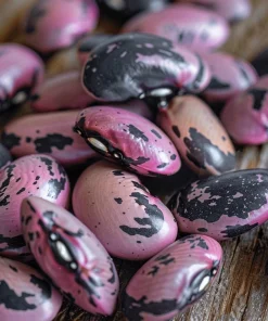 Scarlet Runner Bean Seeds - 15 Seeds - Vibrant Red Flowers & Edible Beans - Image 4