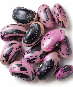 Scarlet Runner Bean Seeds - 15 Seeds - Vibrant Red Flowers & Edible Beans - Image 5
