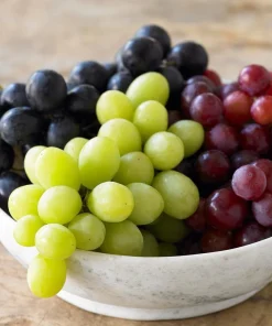 Seedless Grape Vine Live Plant Trio - Concord, Reliance, Himrod - 3 Pack Outdoor Fruit Vines - Image 1