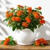 Set of 2 Bright Orange Lantana Plants Live, 4-7 Inches Tall, Outdoor Flowering Starter Plants - Image 1