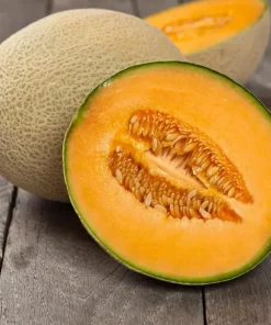 Set of 2 Cantaloupe Live Plants - 3-5 Inch Tall Sweet Melon Starters in 4 Inch Pot - Image 8