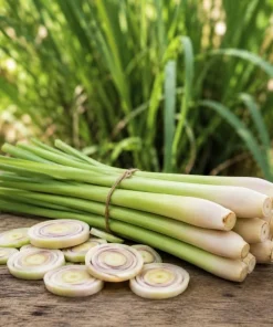 Set of 2 Lemongrass Live Plants, Fragrant Perennial, 1 Gallon Pot - Image 2