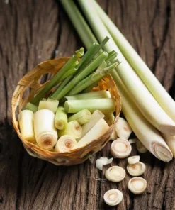 Set of 2 Lemongrass Live Plants - Fresh Fragrant Herb, Easy Grow - Image 5