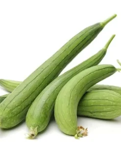 Set of 2 Luffa Sponge Live Plants, 4-6 Inch Tall in 4 Inch Pots, Loofah Gourd Vine - Image 3