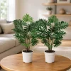 Set of 2 Tree Philodendron Live Plants, Faux Monstera, Indoor Tropical, 5-8 Inch Tall, 4 Inch Pot - Image 1