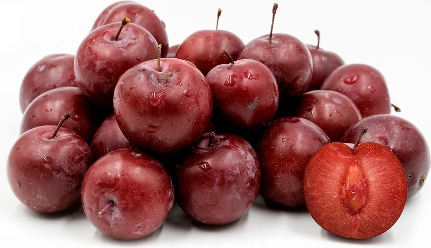 Set of 2 Wild Plum Tree Live Plant 12-24 Inches - Prunus americana Outdoor Edible - Image 7