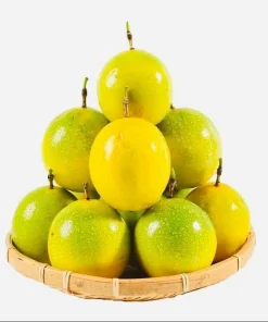 Set of 2 Yellow Passionfruit Live Plants for Planting, 4-8 Inch Tall - Image 6