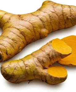 Set of 2 Yellow Turmeric Live Plants, 4-7 Inch Starter Plants, Fragrant Herb - Image 4