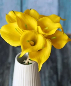 Set of 3 Yellow Calla Lily Bulbs - Bright Blooms for Garden & Pots - Image 8