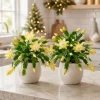 Set of 4 Yellow Christmas Cactus Live Plants – 4-8 Inch Tall Tropical Thanksgiving Cactus - Image 1