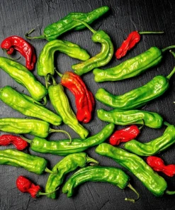 Shishito Pepper Seeds - 50 Count Mild Japanese Chili Vegetable Seeds - Image 6