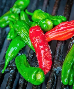 Shishito Pepper Seeds - 50 Count Mild Japanese Chili Vegetable Seeds - Image 9
