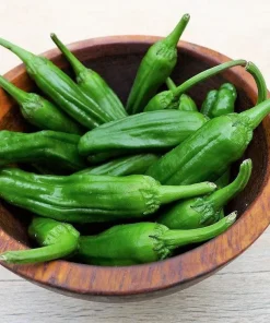 Shishito Pepper Seeds - 50 Count Mild Japanese Chili Vegetable Seeds - Image 1