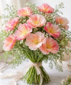 Silky Chiffon Poppy Seeds - Appleblossom - 100 Seeds - Delicate Pink & Apricot Blooms - Image 4