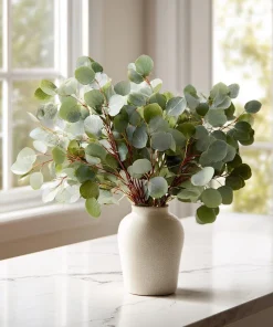 Silver Dollar Eucalyptus Seeds - 10 Seeds Eucalyptus Polyanthemos, Fragrant Leaves - Image 2