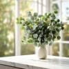 Silver Dollar Eucalyptus Seeds - 10 Seeds Eucalyptus Polyanthemos, Fragrant Leaves - Image 1