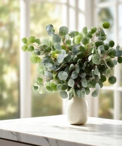 Silver Dollar Eucalyptus Seeds - 10 Seeds Eucalyptus Polyanthemos, Fragrant Leaves - Image 1