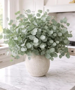 Silver Dollar Eucalyptus Seeds - 10 Seeds Eucalyptus Polyanthemos, Fragrant Leaves - Image 3