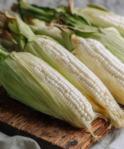 Silver Queen Sweet Corn Seeds – Heirloom Variety – 50 Seed Pack – Outdoor - Image 1