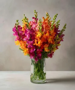 Snapdragon Flower Seeds Mixed Rainbow Color 2000+ Seeds Tall Attracts Pollinators - Image 6