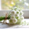 Snowmaiden Scabiosa Seeds - 50 Count White Pincushion Flowers for Garden - Image 1