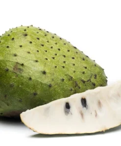 Soursop Tree Live Plant – Guanabana Tree for Garden – 8 to 10 Inch Tall - Image 7