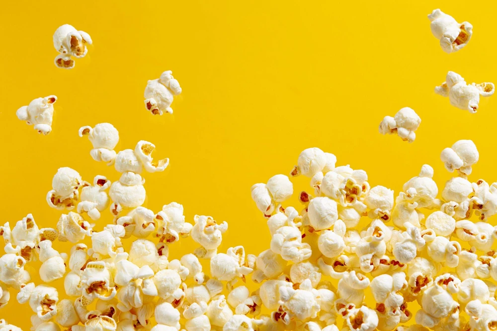 South American Yellow Popcorn Corn Seeds - 75 Count Heirloom Zea Mays - Image 9