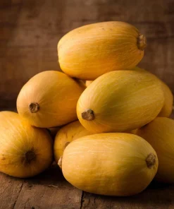 Spaghetti Winter Squash Seeds - 25 Seeds, Unique Stringy Flesh, Easy Grow for Gardens & Containers - Image 2