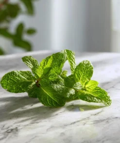 Spearmint Seeds – 200 Heirloom Aromatic Culinary Herb Seeds – Mentha spicata - Image 4