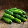 Straight Eight Cucumber Seeds - 50 Seed Pack for Garden & Containers - Image 1