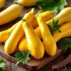 Straightneck Summer Squash Seeds - Heirloom Vegetable Seeds - 50 Count - Image 1