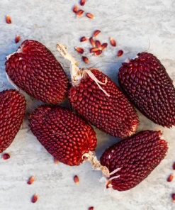 Strawberry Popcorn Corn Seeds - 150 Zea Mays Vegetable Seeds, Red - Image 4