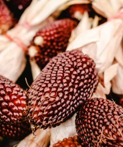 Strawberry Popcorn Corn Seeds - 150 Zea Mays Vegetable Seeds, Red - Image 8