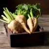 Sugar Beet Seeds – Beta vulgaris Heirloom Sweet Beets, 150 Seeds, Easy-to-Grow - Image 1