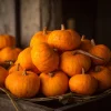 Sugar Pie Pumpkin Seeds – Heirloom Cucurbita pepo – 20 Seeds – Sweet, Productive - Image 1