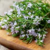 Summer Savory Herb Seeds - 200 Heirloom Culinary Seeds for Garden - Image 1