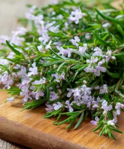 Summer Savory Herb Seeds - 200 Heirloom Culinary Seeds for Garden - Image 1