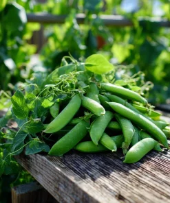 Super Sugar Snap Pea Seeds - High-Yield Climbing Variety (20 Seeds) - Image 3