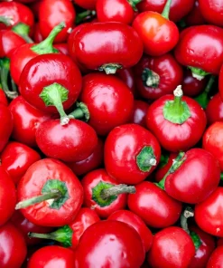 Sweet Cherry Pepper Seeds - Red Capsicum Annuum Vegetable (100 Seeds) - Image 6