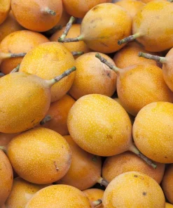 Sweet Granadilla Seeds - Yellow Passionfruit (Passiflora Ligularis) - 10 Seeds - Image 3