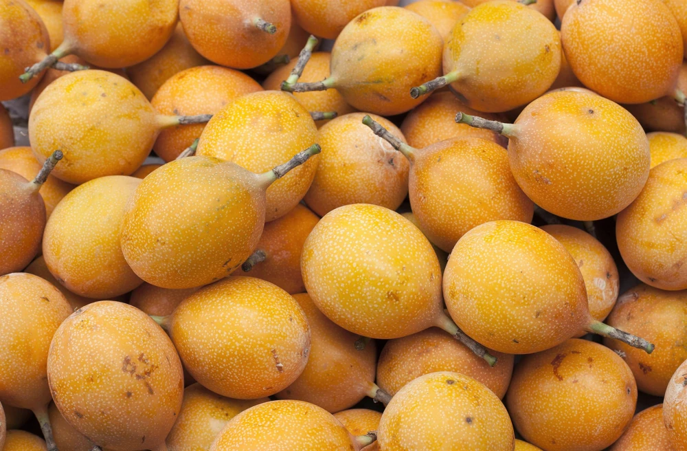 Sweet Granadilla Seeds - Yellow Passionfruit (Passiflora Ligularis) - 10 Seeds - Image 3