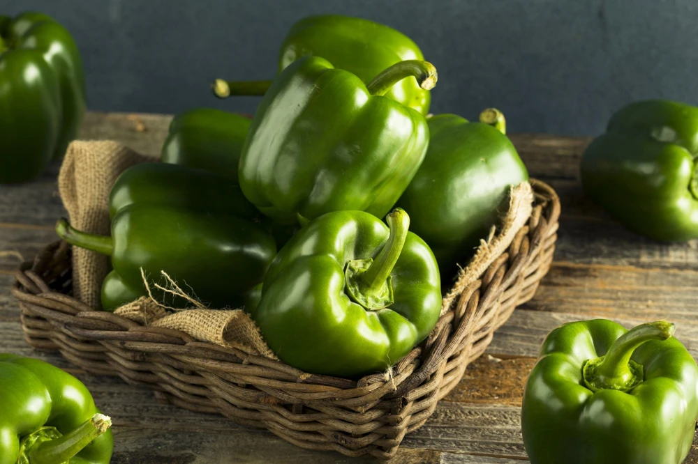 Sweet Green California Wonder Bell Pepper Seeds - 200 Count - Image 2