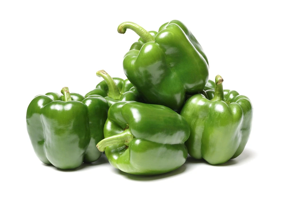 Sweet Green California Wonder Bell Pepper Seeds - 200 Count - Image 3
