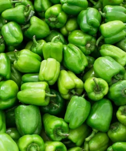 Sweet Green California Wonder Bell Pepper Seeds - 200 Count - Image 5